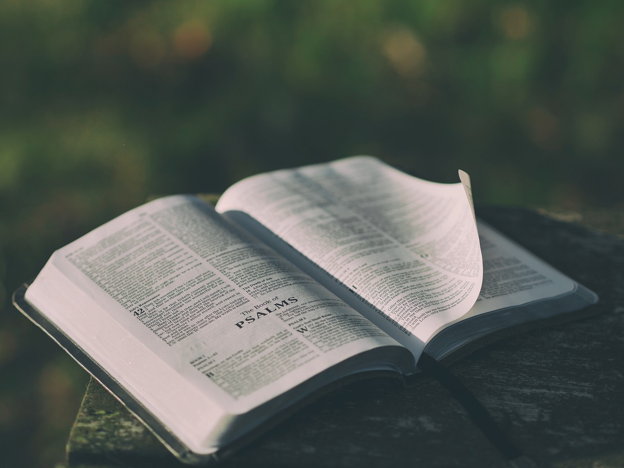 Bible - should you join a discipleship group?