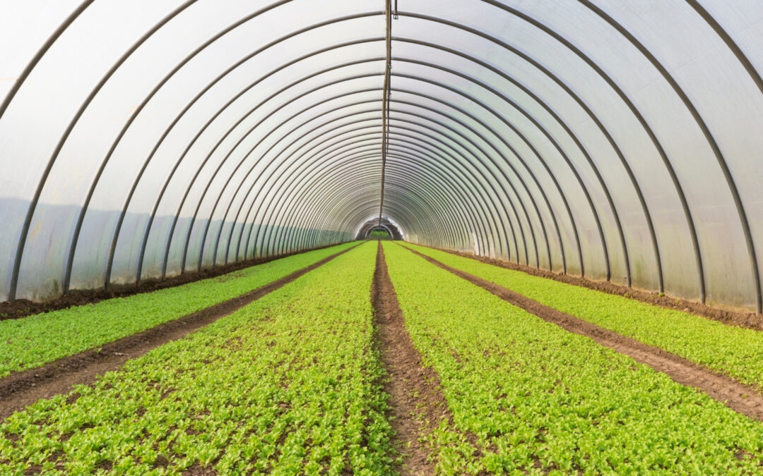 9 Effective Strategies for Cultivating Community in Discipleship Groups