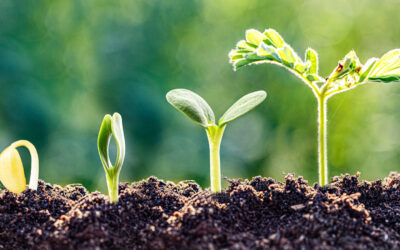 What is Spiritual Maturity?