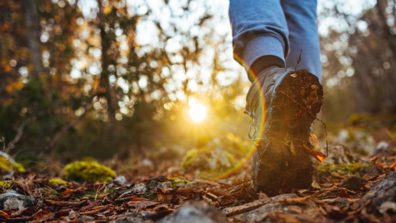 Walking in the woods - how walking in the Spirit supports spiritual health